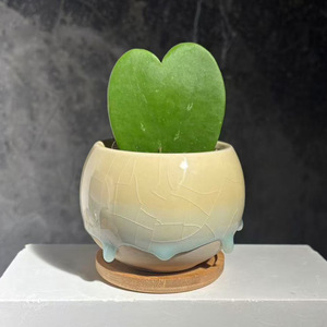 Vaso in <span class=keywords><strong>Ceramica</strong></span> per <span class=keywords><strong>Piante</strong></span> <span class=keywords><strong>Grasse</strong></span> e Cactus con Effetto Craquelé e Smalto Fluido, Design Minimalista Semi-artigianale, Piccolo Vaso da Scrivania - Product Image 4