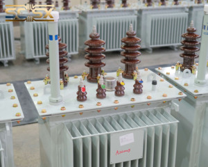 Transformateur triphasé immergé dans l'huile, hermétique, IEC, abaisseur de tension, système 6KV à 33KV, 50Hz 60Hz 220V/480V - Product Image 6