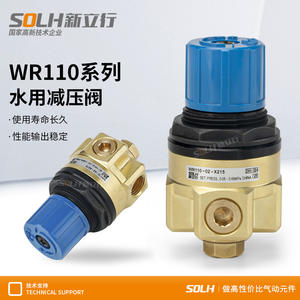 Vanne de régulation de pression réglable série WR110-02 DN8, filetage interne à 2 points, laiton plus épais, réduction de pression d'eau - Product Image 2