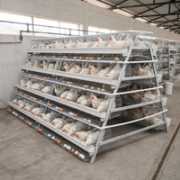 Cage à poules pondeuses neuve en acier galvanisé à faible teneur en carbone, type A, flexible, type H, 85 kg, garantie 1 an