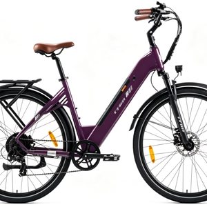 Bicicletta Elettrica da Città Rossa da <span class=keywords><strong>28</strong></span> Pollici con Motore Posteriore Bafang 36V 250W, 7 Velocità e Batteria da 20AH per 80KM di Autonomia - Product Image 1