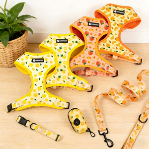 कुत्ते का उपयोग करने में छोटे कदम लचीला अनुकूलन सेवाओं कस्टम लोगो कुत्ते का उपयोग सेट कॉलर और पट्टा - Product Image 3