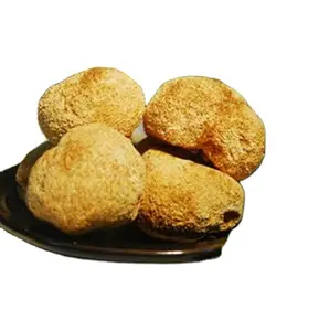 Hou tou gu champignon <span class=keywords><strong>Hericium</strong></span> cru comestible séché entier <span class=keywords><strong>Hericium</strong></span> non ramifié pour la nourriture - Product Image 1