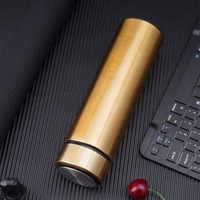 Thermos isotherme à double paroi en acier inoxydable de 500 ml pour thé chaud, café et infusion de fruits froids