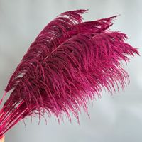 Rumput Pampas Besar Ekstra Lembut, Harga Pabrik, Terlaris, Alami, Kering, Buatan Tangan, Gaya Boho, Dekorasi Rumah untuk Hari Valentine