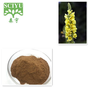 Bubuk Ekstrak <span class=keywords><strong>Mullein</strong></span> Verbascum Thapsus 10:1 20:1 Larut dalam Air untuk Suplemen Makanan - Product Image 1