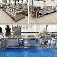 Industrie Watermeloen Palm Fruit Groente Grote Auto Continu Proces Aardbei Schone Wasmachine Machine