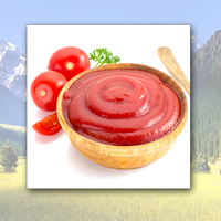 Sauce Ketchup Fraîche Bio Ultra-Concentrée Goût Sucré-Aigre Durée de Conservation 12 Mois Vente en Gros Sachets de Concentré de Tomate