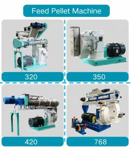 Presse à granulés d'aliments cuits pour animaux, pour lapins, à vendre - Product Image 6