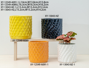 Tùy Chỉnh Đơn Giản Chậu Hoa Bền Cao Sức Mạnh Vườn Hoa Nồi Đặt Trong Nhà Ngoài Trời Nhà Máy Trang Trí Nội Thất Vườn Ươm Thiết Kế Sàn - Product Image 4