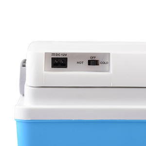 차 사용 냉장고 선전용 DC 12V 파란 냉장고 22L 냉각기 온열 장치 싼 냉장된 차 - Product Image 4