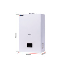 Chaudière murale à gaz haut de gamme 24 kW avec réservoir d'eau latéral, échangeur de chaleur à plaques