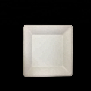 Kingwin Plateau Alimentaire Plateau à Bagasse Canne à Sucre Conteneur à Bagasse Vente en Gros Assiette en Papier Biodégradable Plat Rond Blanc/Plante Naturelle - Product Image 1