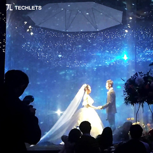 Hologram laser chiếu Hologram công nghệ 3D Holographic hiển thị ba chiều lưới chiếu - Product Image 6