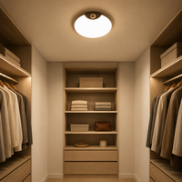 Veilleuse LED à commande par capteur intelligent, installation magnétique, rechargeable par USB et à intensité variable, portable pour chambre, armoire et placard
