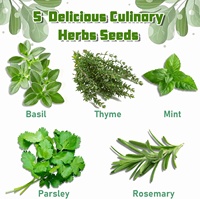 Kit de démarrage pour jardin, kit de plantation complet, boîte à fleurs en bois, potager d'herbes aromatiques pour fenêtre de cuisine, ensemble de plantes DIY, herbes aromatiques, basilic, persil