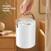 Humidificateur ultrasonique mini à brume fraîche, double pulvérisation, poignée portable, aromathérapie, pour usage hôtelier, vente en gros usine, compatible OEM