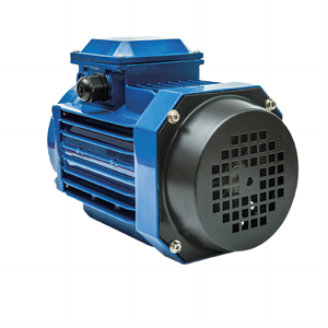 Motore asincrono YS YL <span class=keywords><strong>GS</strong></span> motore a induzione ca in fusione di alluminio ad alta efficienza 5kw 7.5hp motore elettrico trifase 2P/4P/6P - Product Image 5
