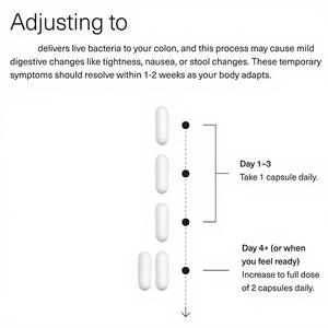 Cápsulas de Enzimas Digestivas OEM, Prebióticos, Probióticos, Fórmula Vegana a Base de Plantas Orgánicas, Suplemento Alimenticio Rico en Vitaminas - Product Image 2