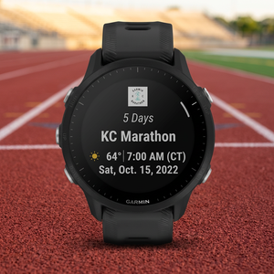 Nuevo Reloj Inteligente Deportivo GPS Multifuncional Fenix 8 de 43 mm con Pantalla AMOLED de Zafiro de Grado Industrial, Personalización ODM y Envío Rápido - Product Image 3