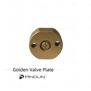 PINDUN pour injecteur Denso, plaque de soupape dorée 02 #   04 #   06 #   07 #   19 #   23 #   <span class=keywords><strong>28</strong></span> #   29 #   Plaque à orifices dorée série G2 G3 - Product Image 4