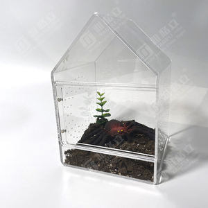 Enclos transparent pour tarantule, enclos pour reptiles, terrarium pour araignées, cage pour tarantule, uniquement pour l'exposition - Product Image 4