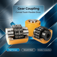 Accouplement de chaîne à rouleaux KC avec couvercle de protection en acier trempé forgé, couple élevé, marque SFS, non standard, OEM personnalisable
