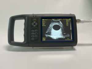 ZY-YC5 이 베스트셀러 농장용 수의학 초음파 기기는 임신 검사에 사용할 수 있습니다. - Product Image 2