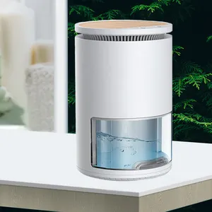 Luftentfeuchter de ménage électrique intelligent à haute efficacité, Mini déshumidificateur de déshydratant pour la maison