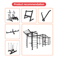 Banc de musculation pliable et réglable avec cadre en acier allié, gain de place, banc de développement des ischio-jambiers