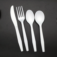 Ensemble de couverts jetables compostables CPLA (fourchette, couteau, cuillère) pour restaurant, modèle 2026, adapté aux usines
