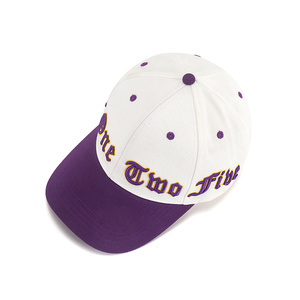 Nueva Gorra de Béisbol Morada con Logotipo Bordado en Algodón, Diseño Moderno y Personalizado, Protección Solar, Gorra Deportiva Blanca para Primavera/Verano - Product Image 2