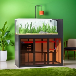 Industrial Style Aquascape <strong>Aquarium</strong> Side Overflow Sump Filter Tank Low Maintenance Rectangular for Living Open View <strong>River</strong> Stream - Product Image 3