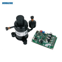 Micro compresseur de réfrigération rotatif solaire GMCC JSV20D24TZB DC24V R134a BLDC pour petit climatiseur Mini refroidisseur