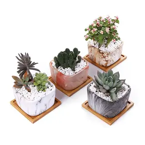 Conjunto de vasos de cerâmica para plantas, conjunto de pequenos vasos de flores de cerâmica para plantas com bandeja de bambu