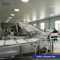 Professionele Gaasbanddroger Voor Cassavedroger Automatische Continu Drogende Cassavemachine