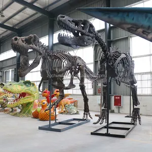 (Disponibile) dinosauro di qualità del museo T-rex repliche di scheletro di dinosauro di grandi dimensioni reali fossili reali di dinosauro