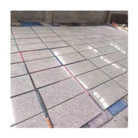 Dalles de granit blanc impérial poli, modernes, écologiques et durables pour revêtements de sol avec garantie à vie