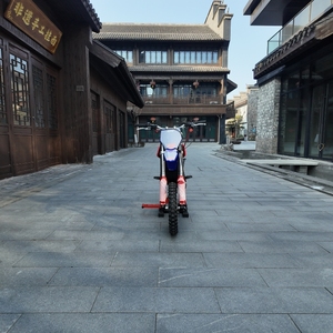 Vélo de Trail Électrique RFN SX-E350 pour Enfants, Batterie au Lithium Centrale, Double Suspension, Freins à Disque, Pneus de 12 Pouces, Écologique, Léger, Tout-Terrain - Product Image 1