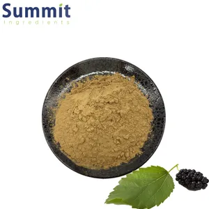 Free Sample White Mulberry Leaf Extract Mulberry Leaf Powder Mulberry Leaf Extract