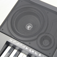 Oem Support 928 61 Keys Touch Response Electric Piano with USB MP3 Player and Teaching Mode and Sustain Interface and Midi