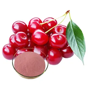 100% Bubuk Ekstrak Acerola Cherry Yang Larut Dalam Air dengan 25% Vitamin C