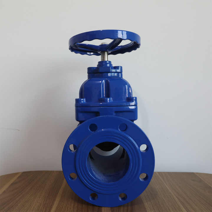 German Standard Ductile Iron Flanged Water Isolation Resilient Seated ...