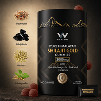 Gummies Hilajit Gold 60 unités, véganes, sans sucre ajouté, complément bien-être pour adultes, vente en gros, ODM