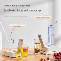 Distributeur d'eau chaude instantané pliable mignon chauffe-eau instantané portable