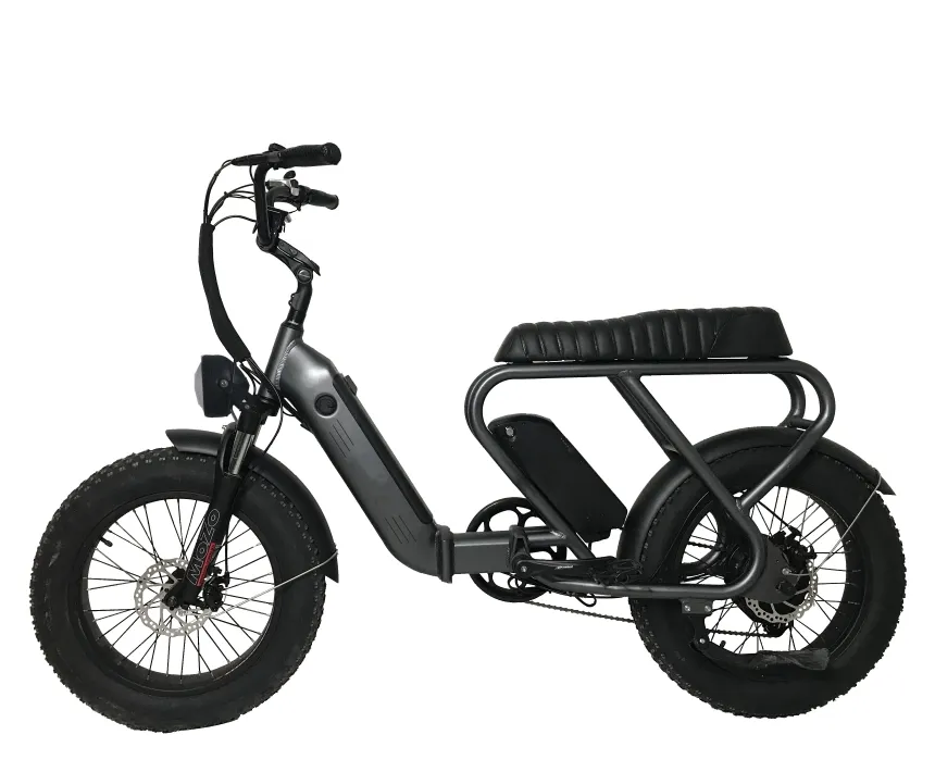फोल्डिंग ईबाइक इलेक्ट्रिक बाइक 48V35Ah 750W स्टेप-थ्रू इलेक्ट्रिक साइकिल 5 PAS 7 स्पीड एलसीडी डिस्प्ले इलेक्ट्रिक बाइक