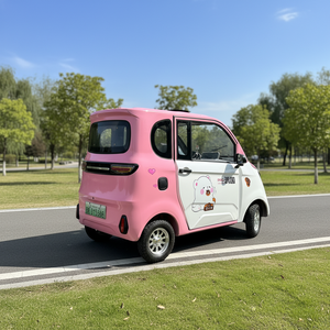 Mini Auto Elettrica Completamente Chiusa a <span class=keywords><strong>4</strong></span> Ruote da 1000W per Anziani, Veicolo Domestico a Nuova Energia - Product Image 1