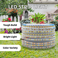 Bande LED 2835 CE RoHS en gros, 12V 24V, 120 LED, IP20, éclairage intérieur/extérieur pour résidence et aménagement paysager, lampe en cuivre