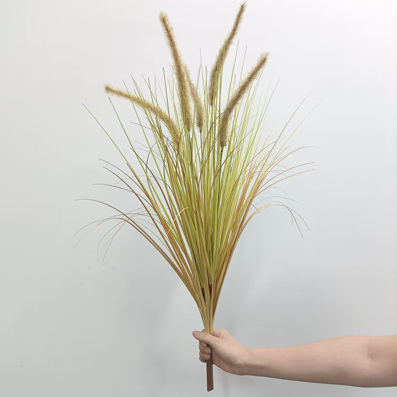 ใบไม้ร่วง สีสันแห่งฤดูใบไม้ร่วง หางหมา