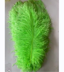 Plumas de avestruz de penacho natural verde de 40-45cm para fiesta carnaval hogar boda centro de mesa Navidad vacaciones decoración DIY artesanía Floral - Product Image 1